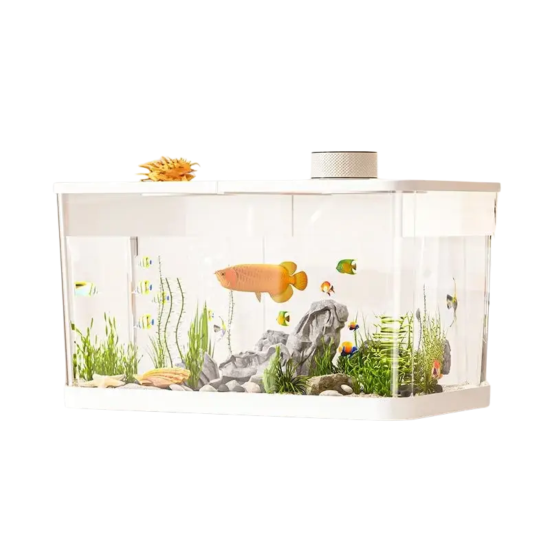 A sleek white rectangular ecological desktop fish tank with clear glass and vibrant orange fish among green plants