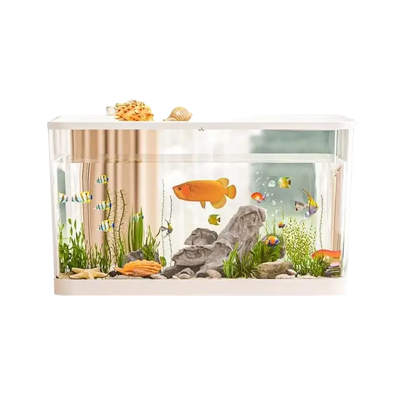 Ecological desktop fish tank rectangular with clear glass sides featuring rocks green plants and colorful fish inside