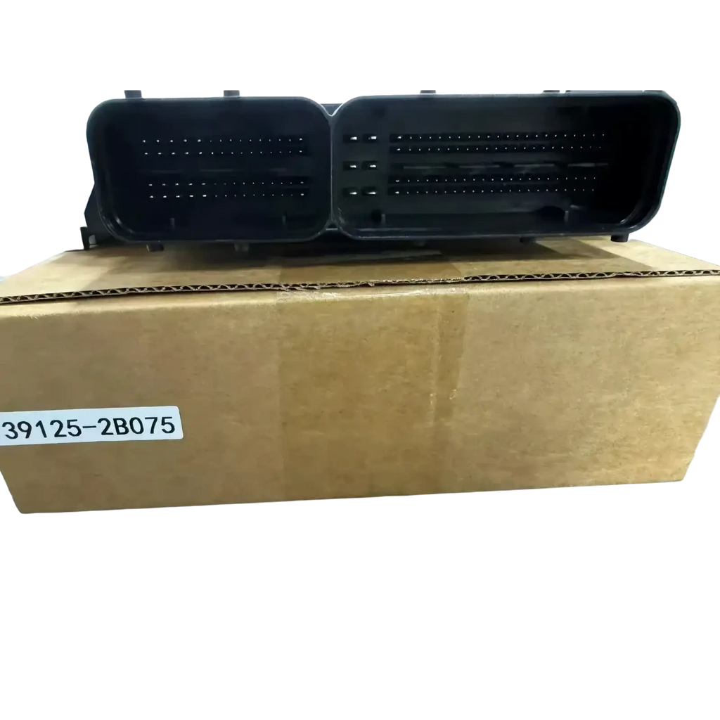 Black plastic ecu connector for Hyundai 39125-2b075 engine computer board with two rectangular pin sections
