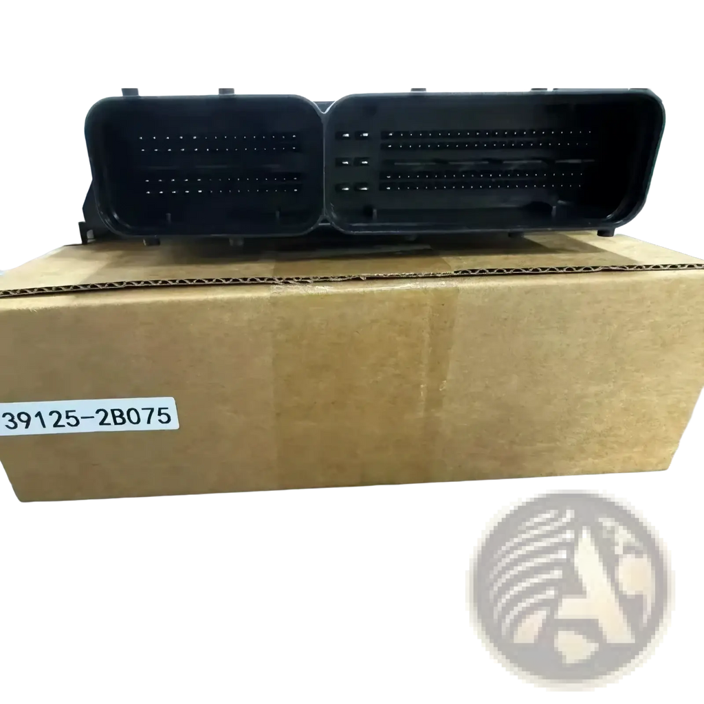 Black plastic ecu connector for Hyundai 39125-2b075 engine computer board with two rectangular pin sections