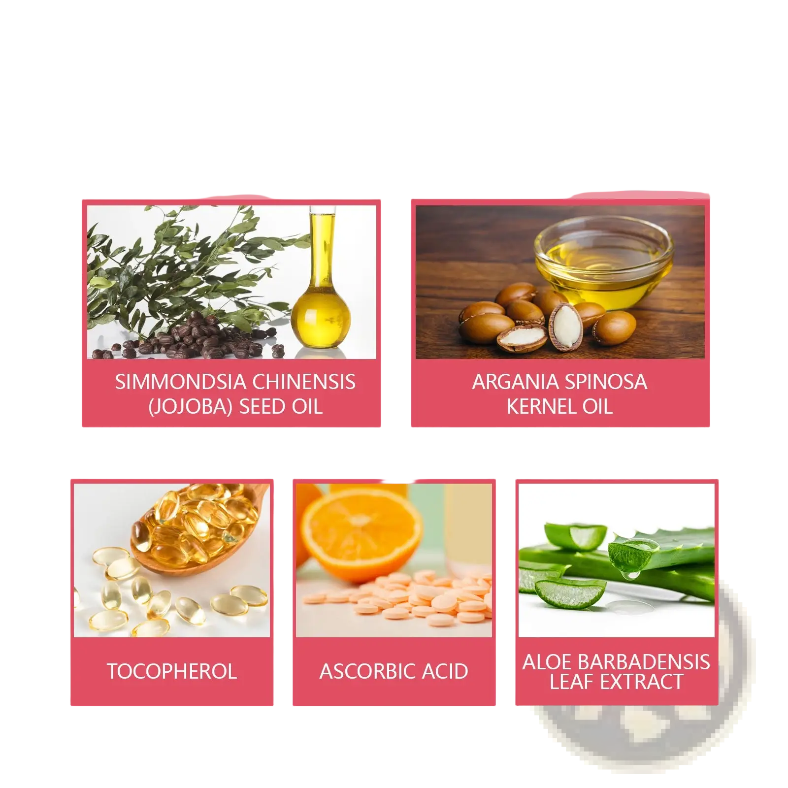 Pink background with ingredients panels for eelhoe moroccan oil hair repair capsules for frizz control