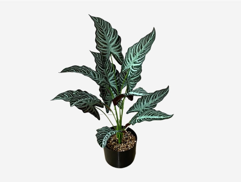 A potted artificial monstera turtle leaf plant with dark green leaves and intricate white veining in a sleek black pot with decorative pebbles for garden decor.