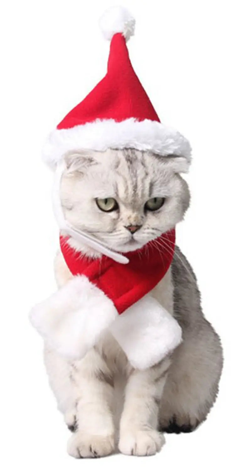 Un chat tigré argenté duveteux portant un bonnet rouge du Père Noël avec une bordure blanche et une écharpe rouge, présentant un bandeau de Noël avec des bois de renne pour animaux.