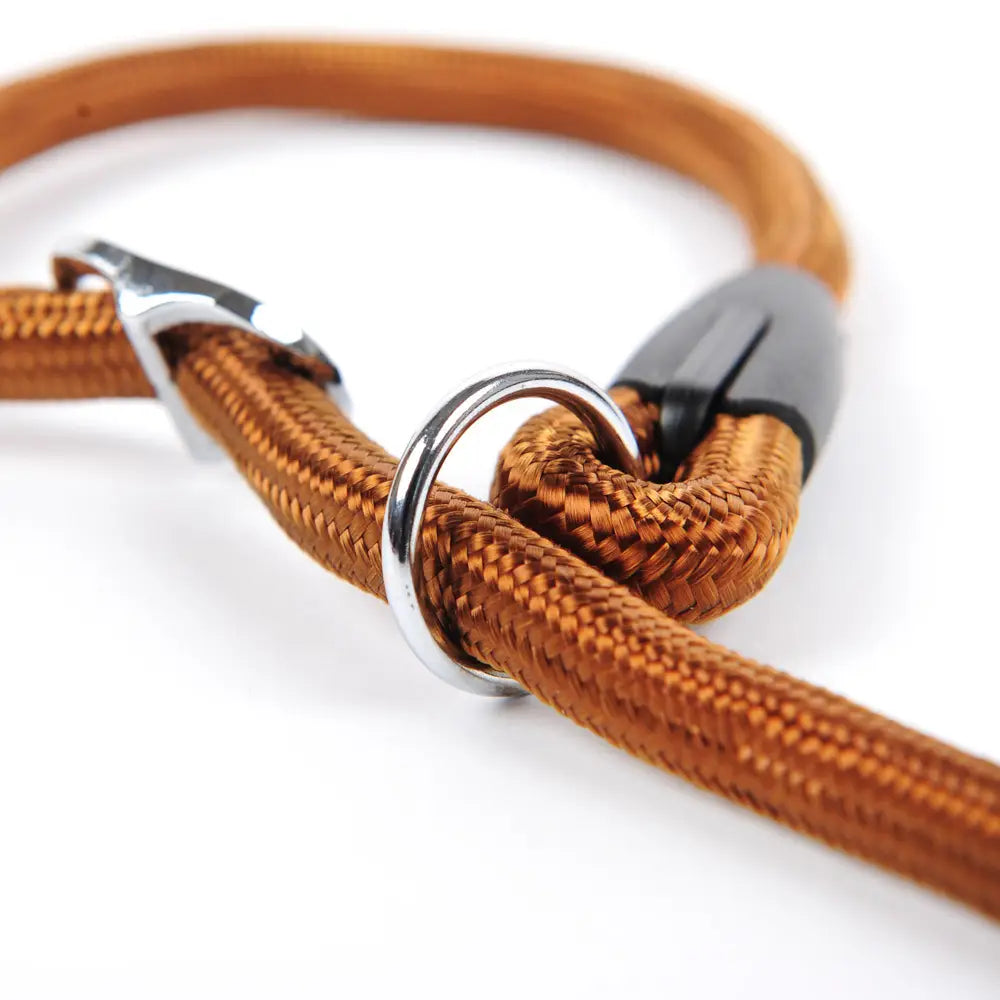 Collar de perro de nailon trenzado marrón con anillo metálico plateado y hebilla, diseñado para mascotas pequeñas y grandes.