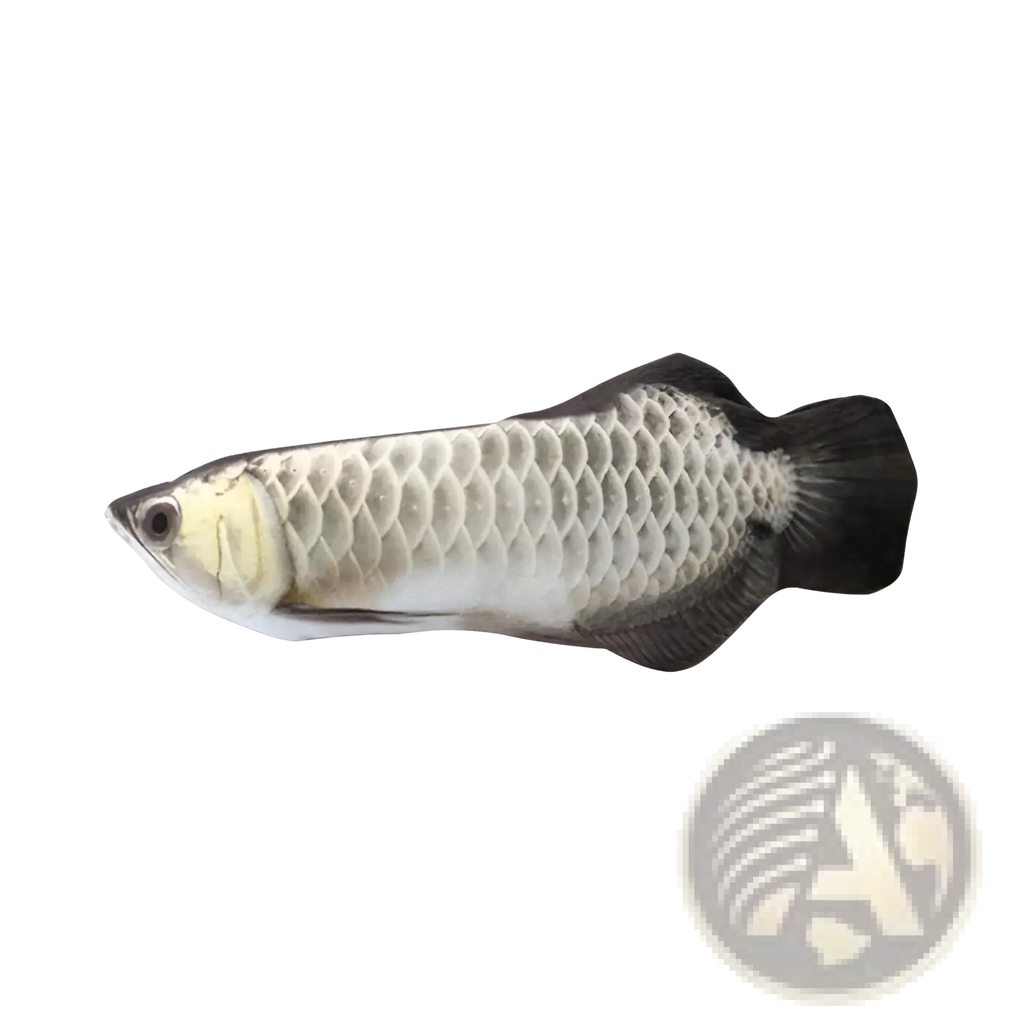 Plush electric cat fish toy with usb charging features goldfish design with detailed silver scales and black fins
