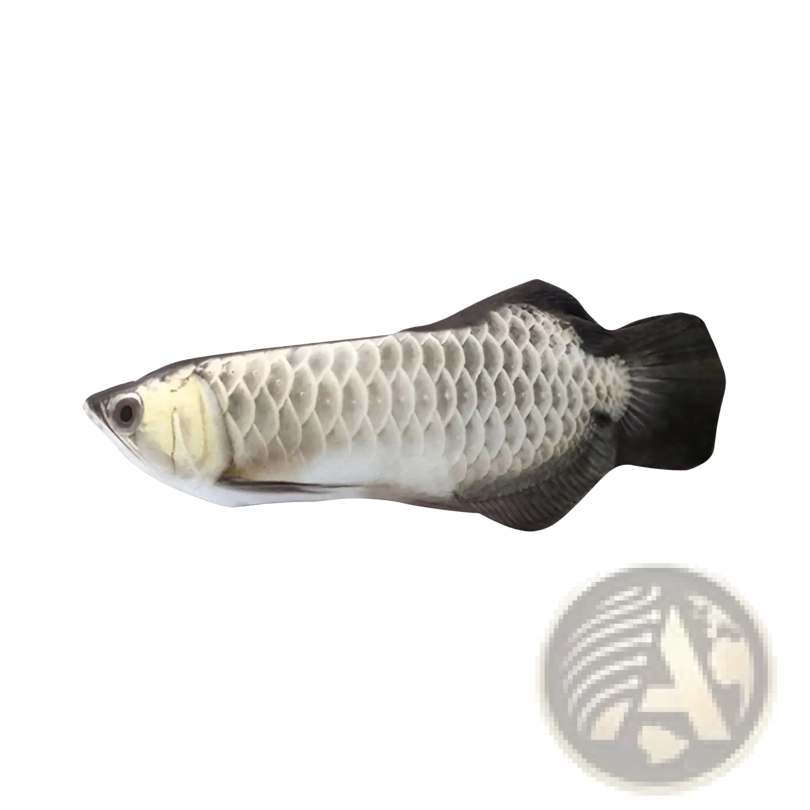 Plush electric cat fish toy with usb charging features goldfish design with detailed silver scales and black fins