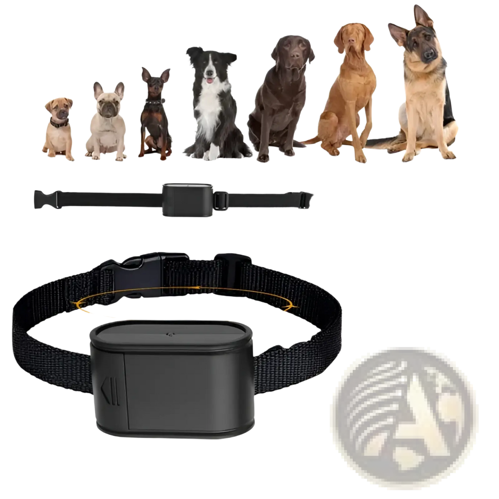 Black nylon dog collar with rectangular black electronic transmitter for electric dog fence system with two collars