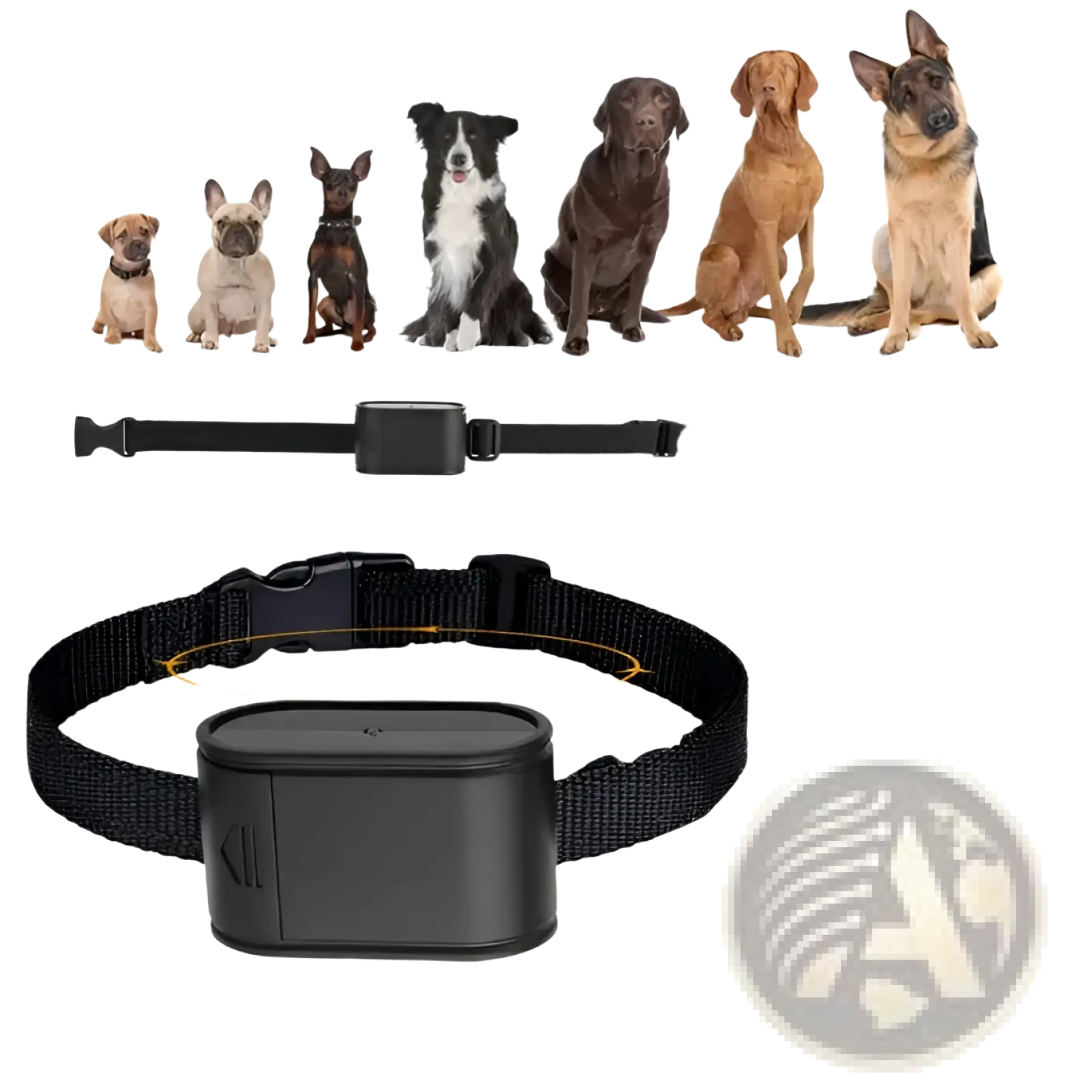 Black nylon dog collar with rectangular black electronic transmitter for electric dog fence system with two collars