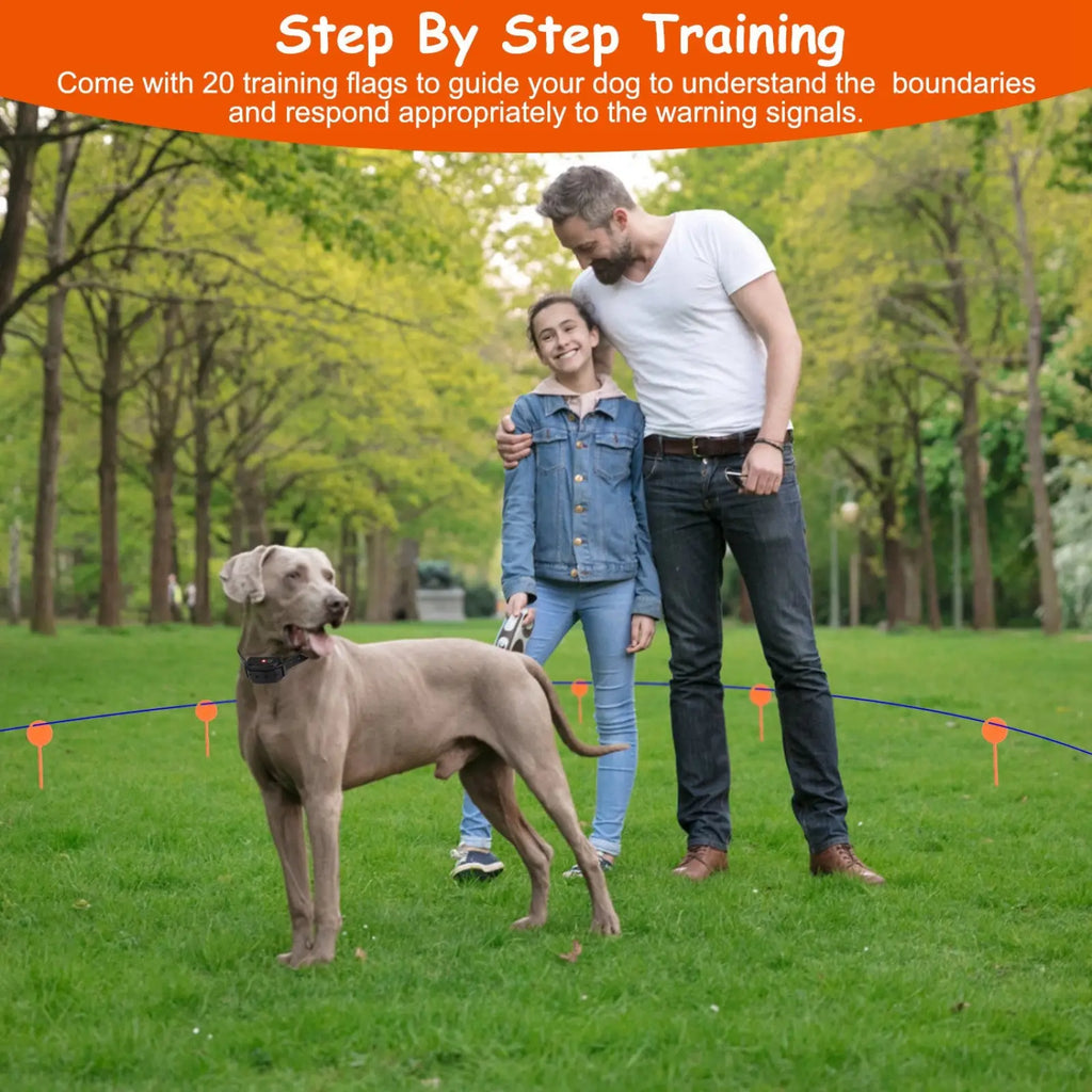 Gray weimaraner dog wearing a black collar with an attached ipx7 waterproof electric dog fence system training device