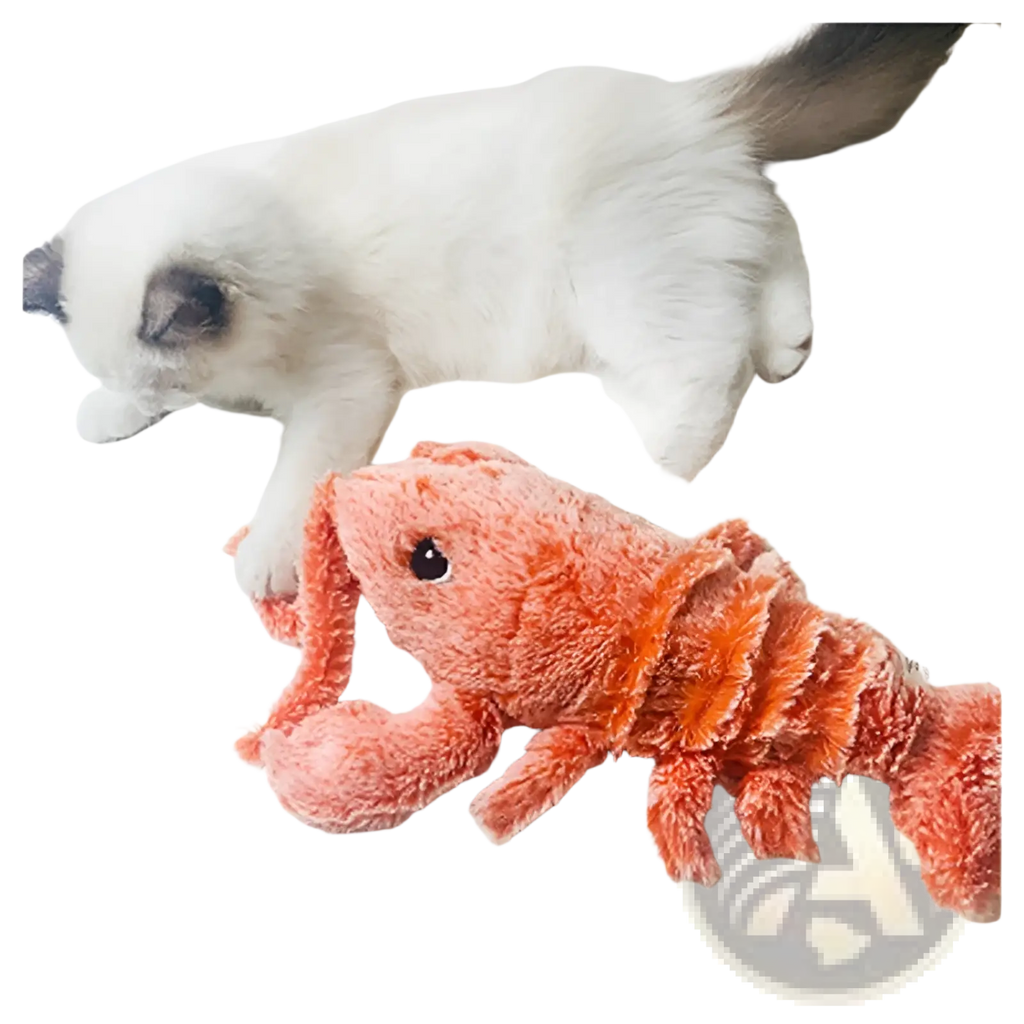 An electric jumping lobster USB charging cat toy in orange plush with soft fuzzy texture and black button eyes