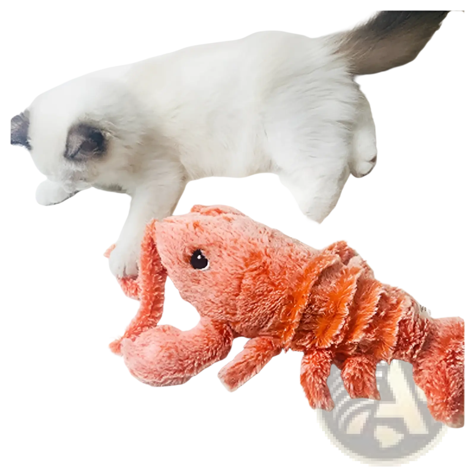 An electric jumping lobster USB charging cat toy in orange plush with soft fuzzy texture and black button eyes