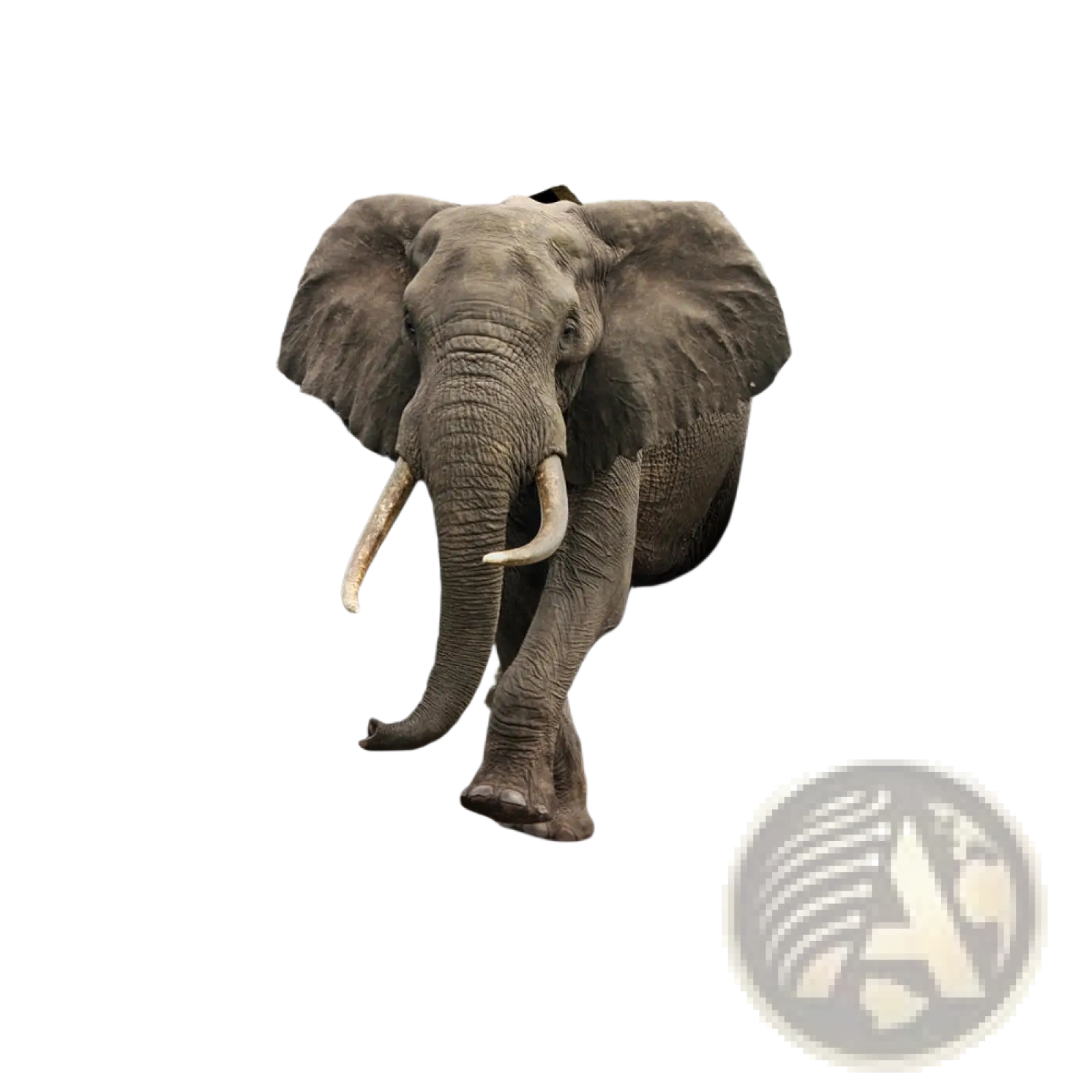 A realistic gray elephant with white tusks bursting through a cracked wall on a 3d canvas wall art decor