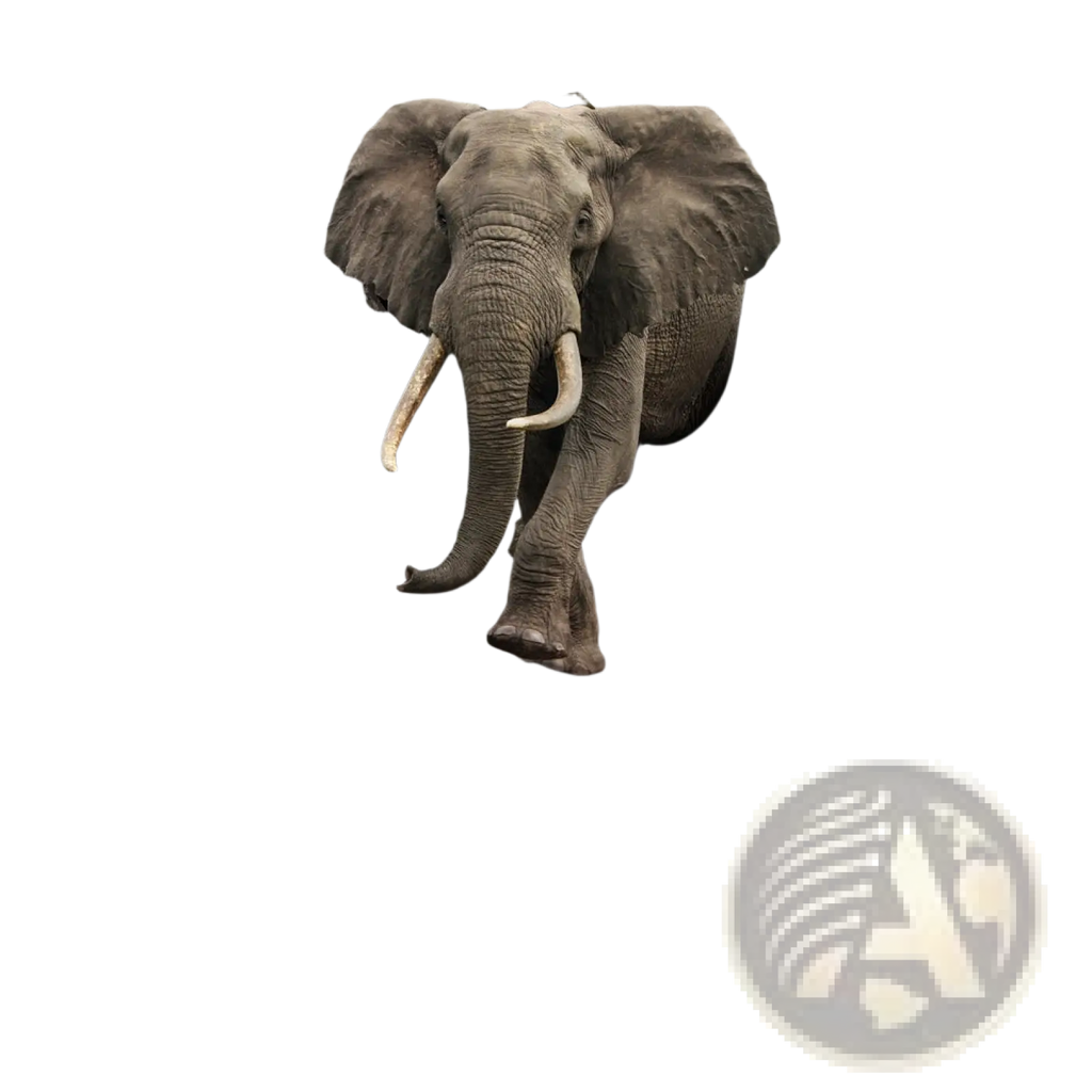 A realistic gray elephant with long white tusks bursts through a cracked textured wall 3d canvas wall art