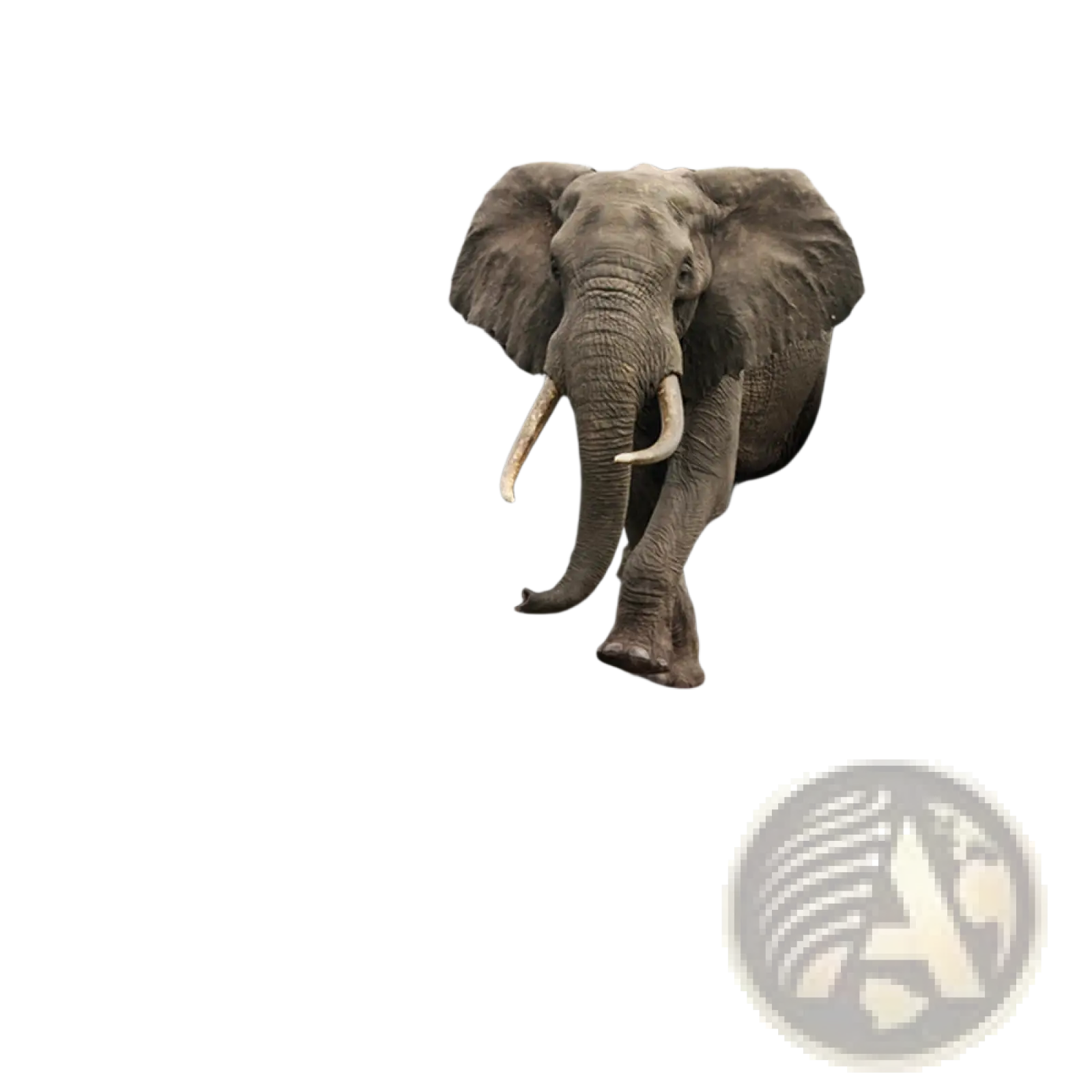 A realistic gray elephant with white tusks bursts through a cracked textured wall in 3d canvas wall art decor