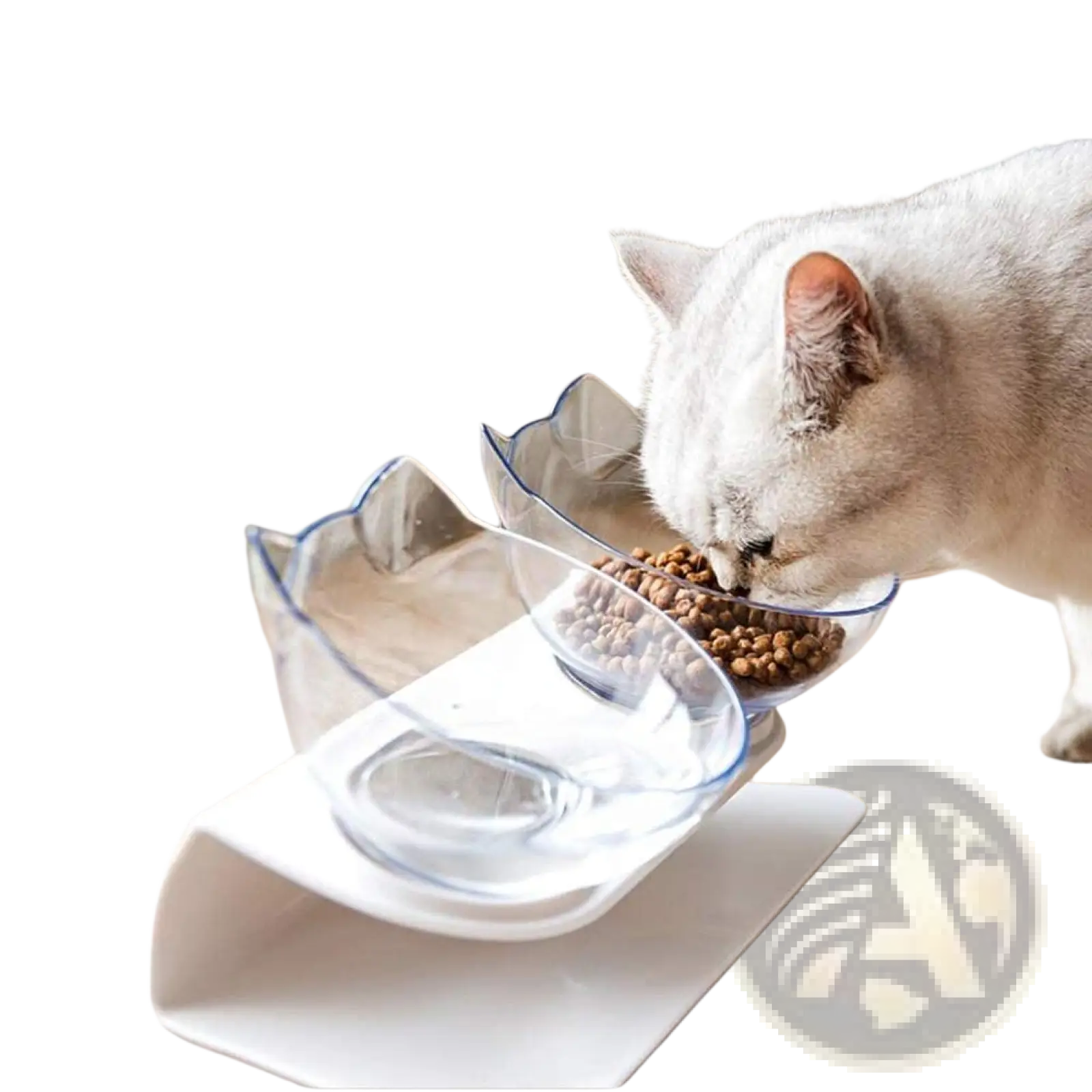 Elevated cat bowl tilted 15 degree double feeder stand with clear cat-shaped dual bowls blue trim white base