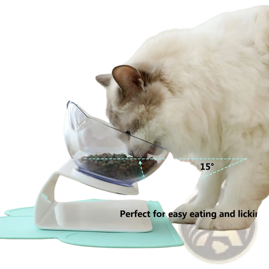 Elevated cat bowl tilted 15 degree double feeder stand with clear angled bowl white base and blue accent