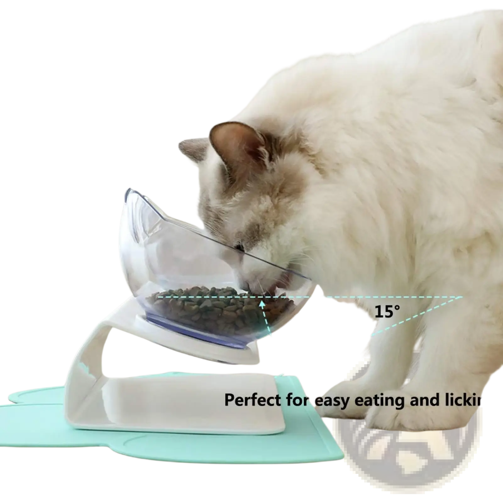 Elevated cat bowl tilted 15 degree double feeder stand with clear angled bowl white base and blue accent