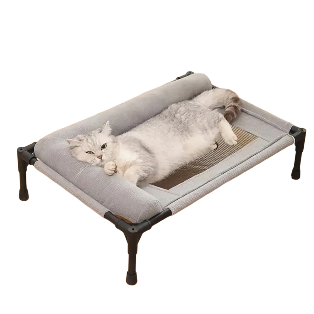 Gray fabric elevated dog bed with black metal frame and breathable mesh center for raised pet comfort