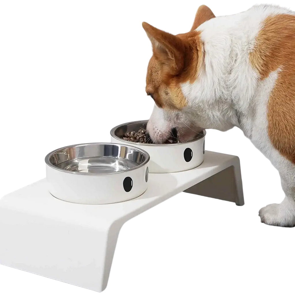 White elevated dog feeder raised stand with two stainless steel bowls one filled with food and the other with water