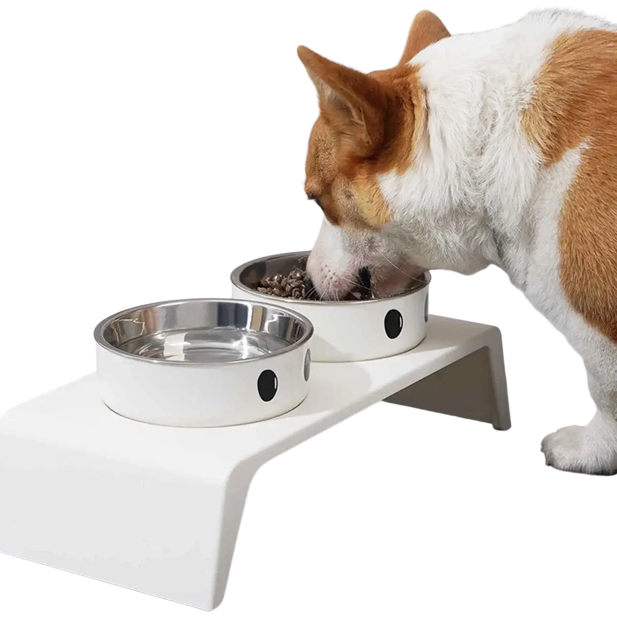 White elevated dog feeder raised stand with two stainless steel bowls one filled with food and the other with water