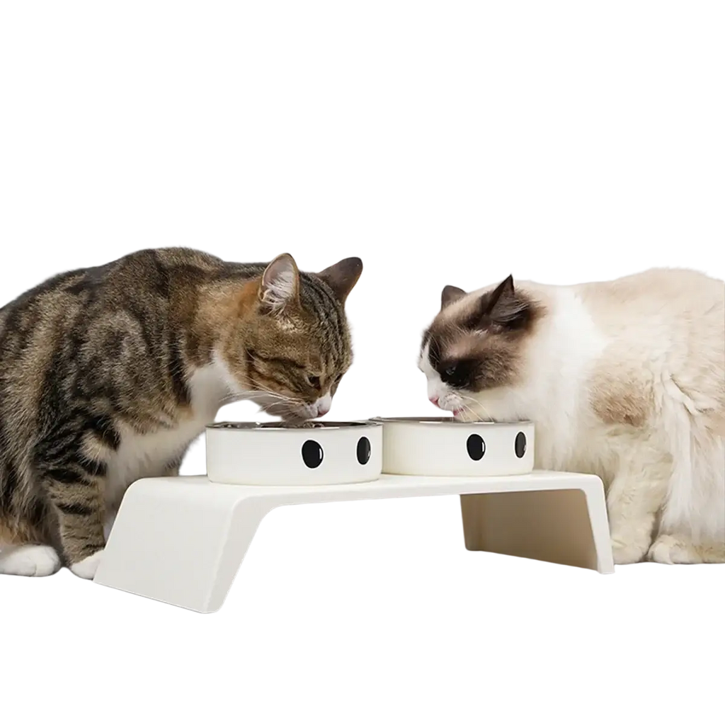 White ceramic elevated dog feeder stand with black eye designs and stainless steel bowls for raised feeding