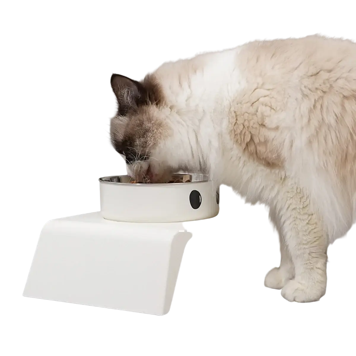 Elevated dog feeder raised stand with white plastic frame and silver stainless steel inner dish for cat food