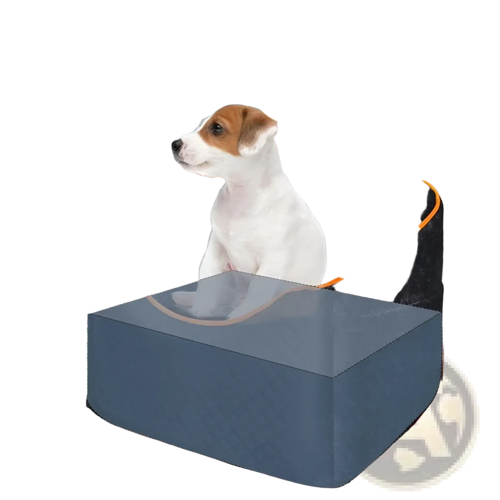 Black quilted elevated pet car seat with orange trim and clear plastic front panel memory sponge dog sofa