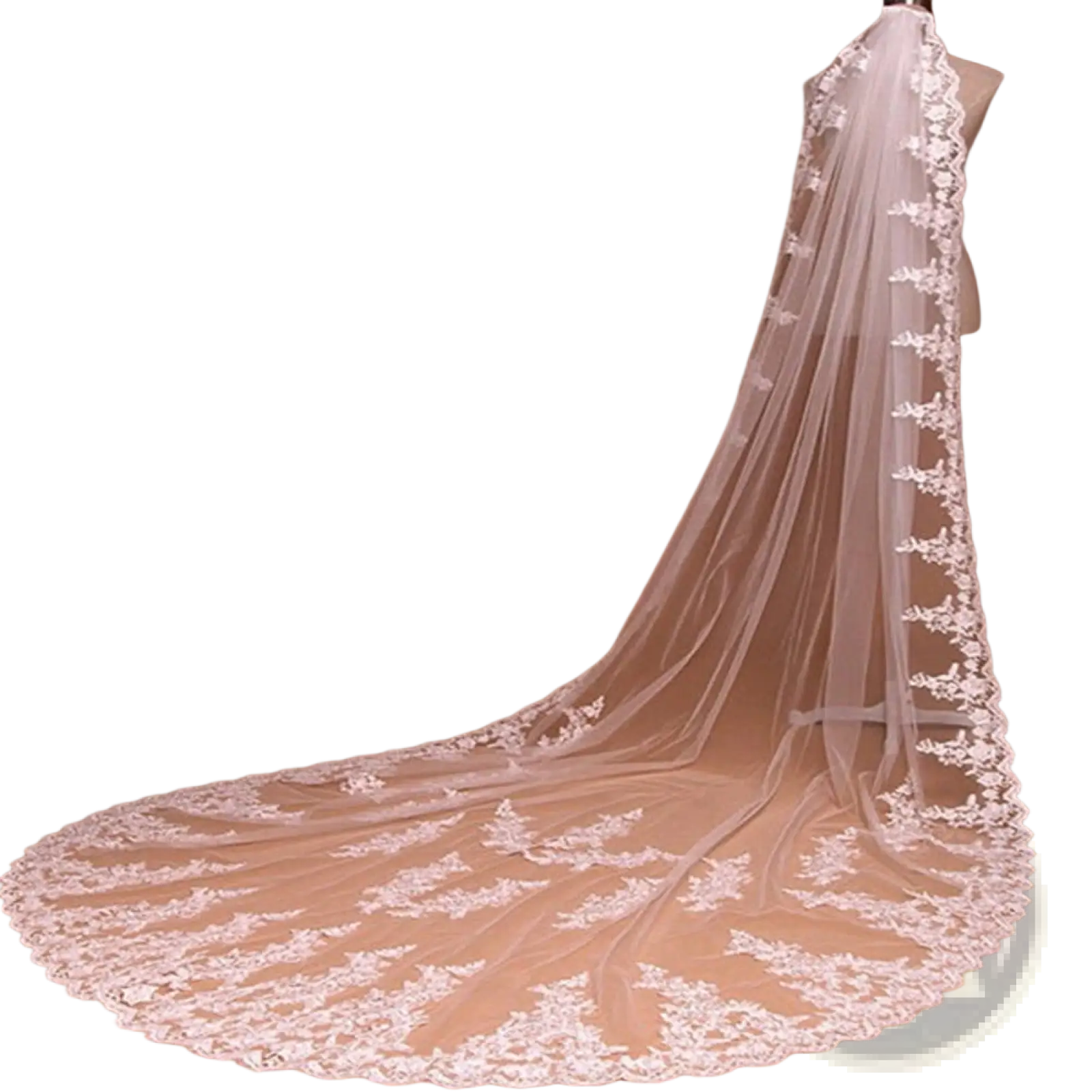 Embroidered floral lace cathedral wedding veil with comb featuring delicate white lace and intricate floral embroidery edges