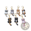 Set of seven colorful enamel cat keychains with striped tails and gold-toned clasps for cute charms collection