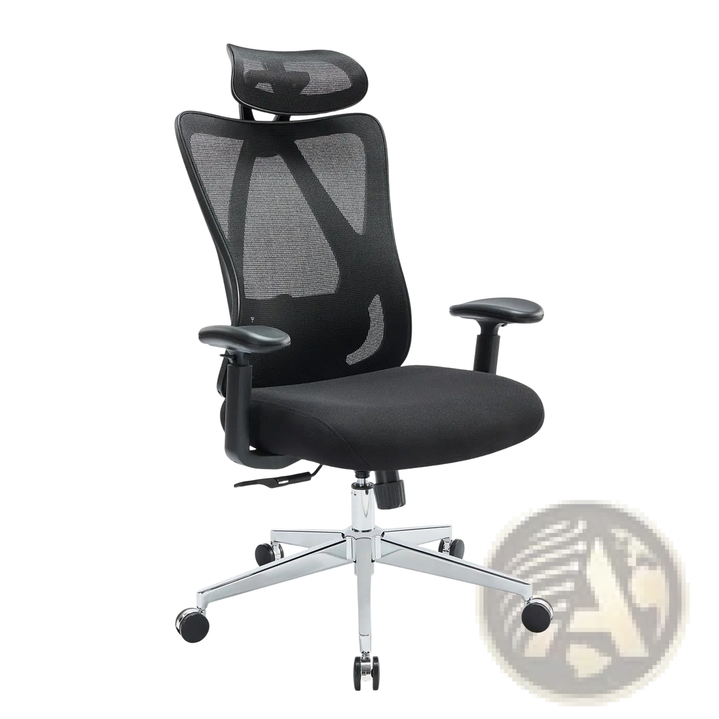 Black ergonomic mesh office chair with padded seat and adjustable headrest on chrome five-star base for office use