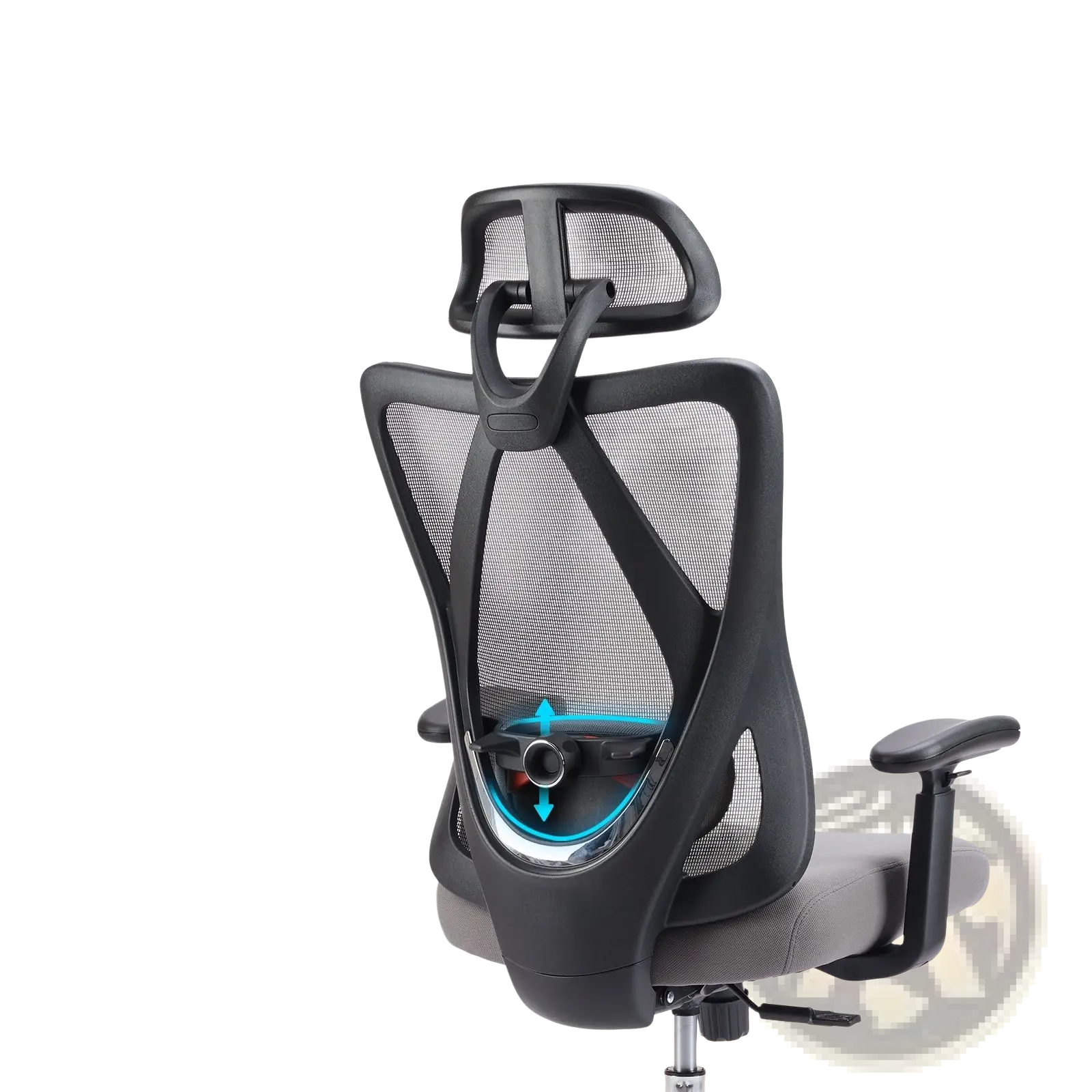 Ergonomic mesh office chair in black with lumbar support and adjustable armrests shown from the back side