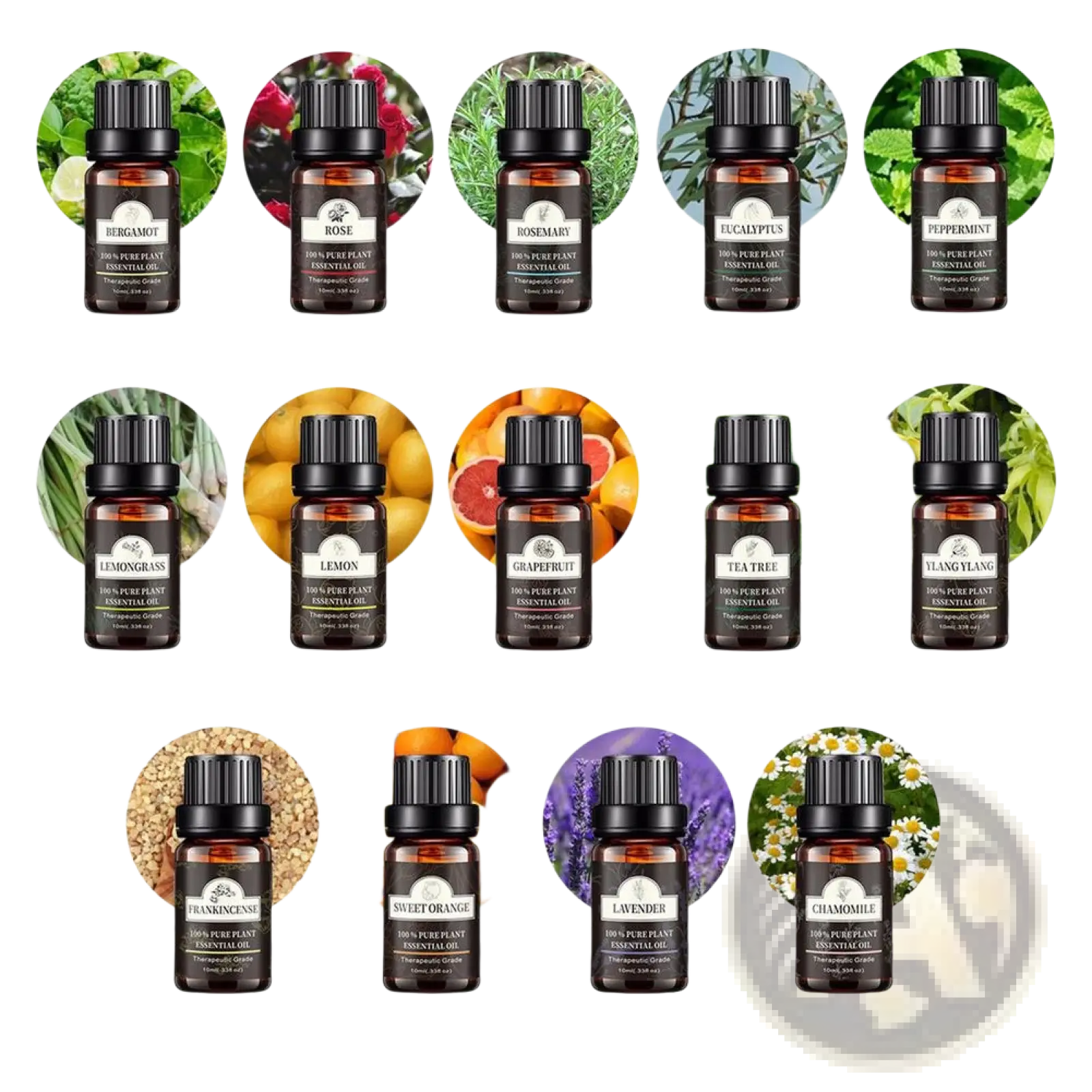 Set of ten amber glass essential oil bottles with black caps and white labels for pure plant aromatherapy use