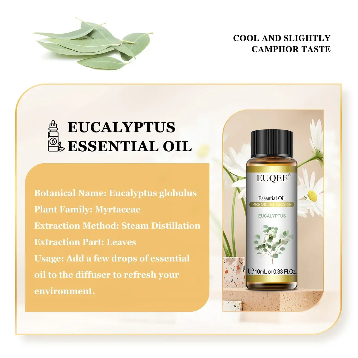 A sleek 10ml euqee brand pure eucalyptus essential oil in a clear glass bottle with black cap and green botanical label