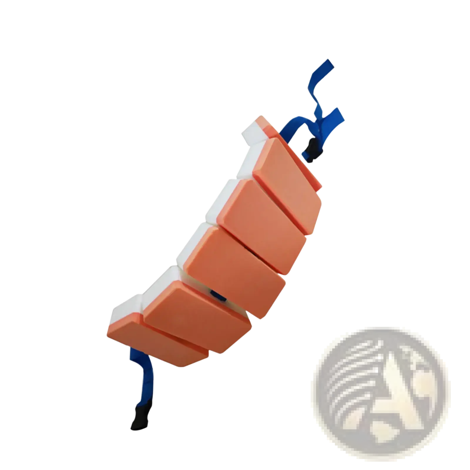 Eva swim belt floating back float for kids in orange and white segmented foam with blue straps shown from the back side