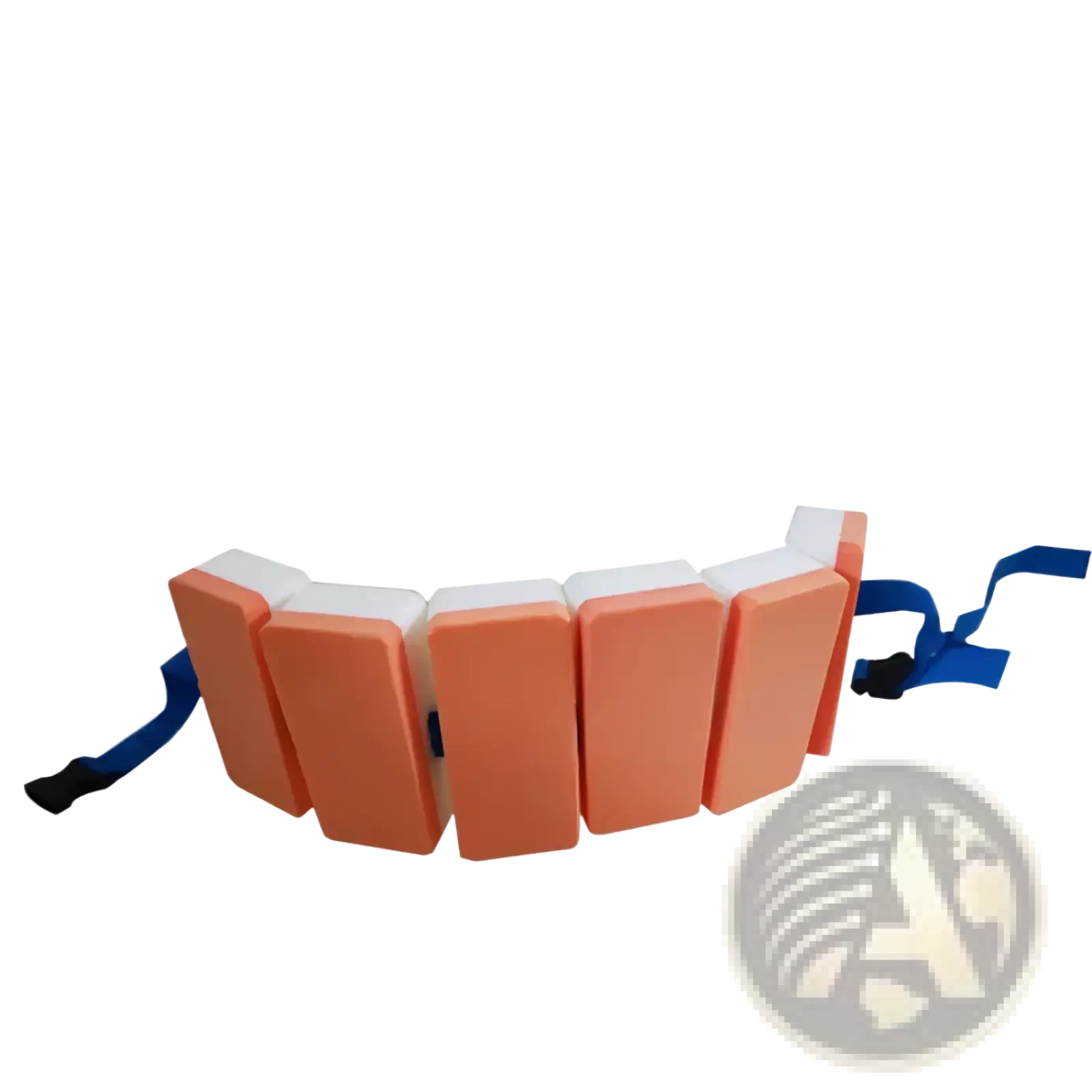 Eva swim belt floating back float for kids with orange and white foam flotation and blue adjustable straps