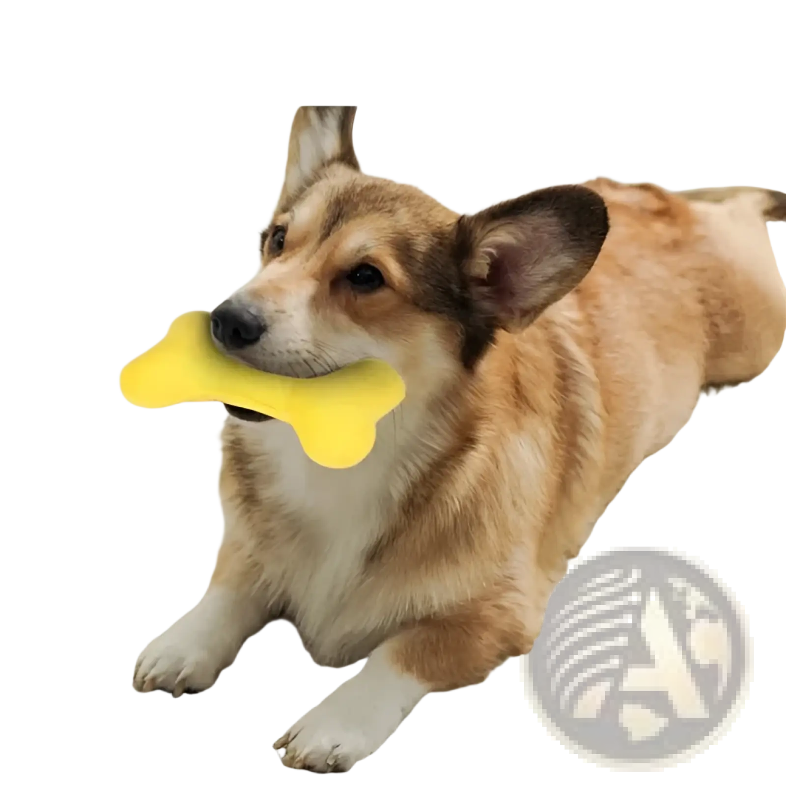 Bright yellow plush bone toy with soft durable texture featured in extra large plush dog bed and cozy puppy cushion mat