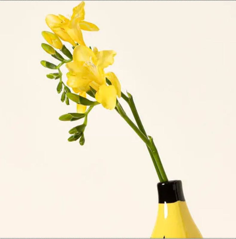 A bright yellow ceramic banana shaped vase with a black rim holds a single stem of vibrant yellow freesia flowers in home decor.