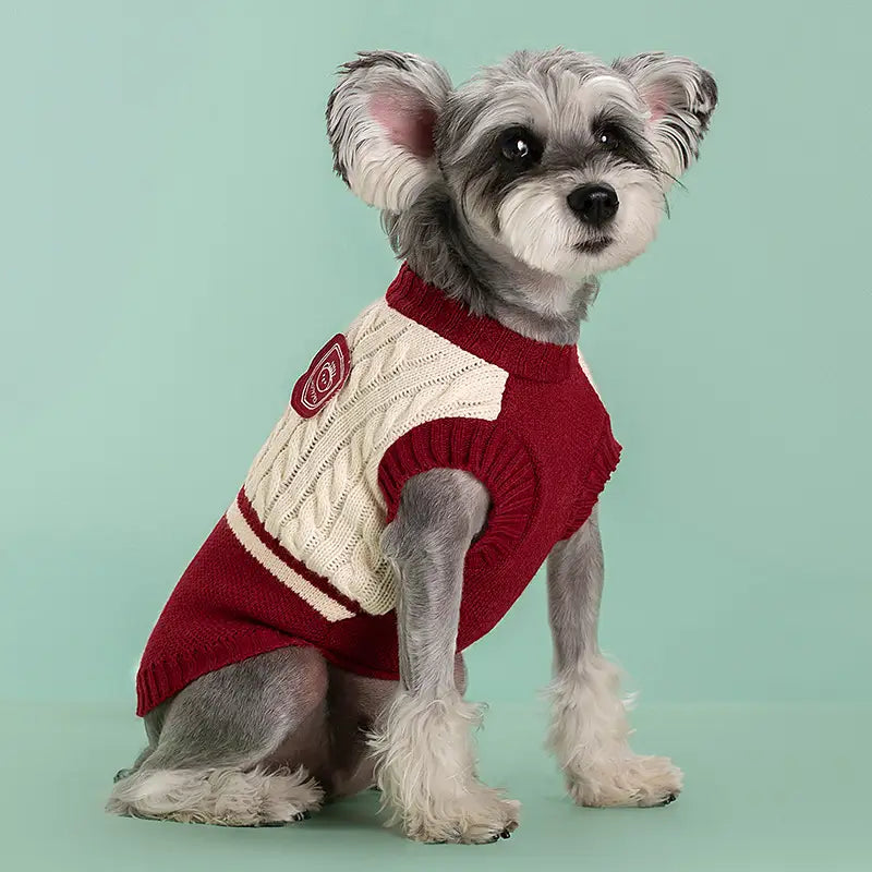 Ein gemütlicher roter und cremefarbener Zopfmuster-Hundepullover aus Strickmaterial mit weißen Seitenstreifen und kleinem besticktem Aufnäher an der Schulter, entworfen als warme Schuluniform-Tierbekleidung.