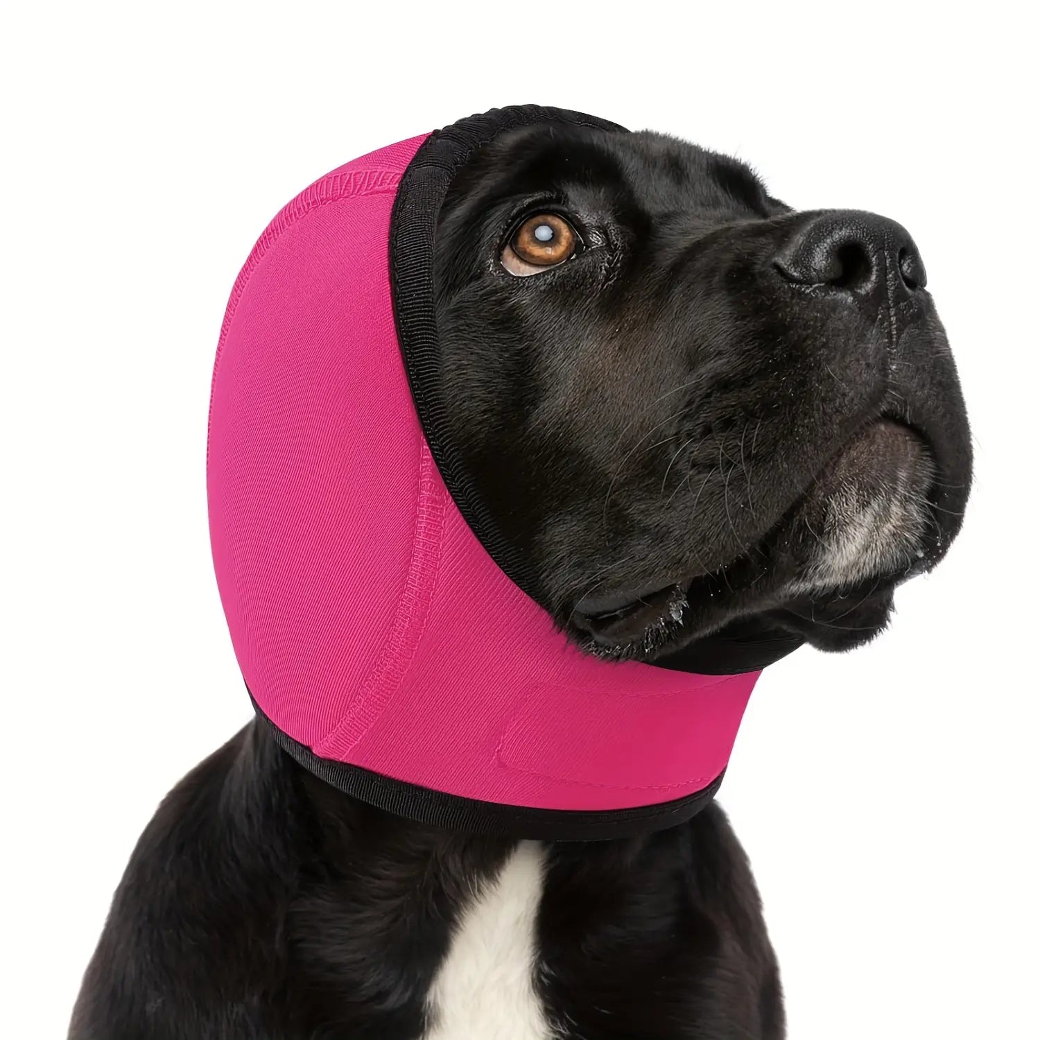bonnet de bain protecteur d’oreilles de chien en néoprène rose vif, doté d’une cagoule extensible en tissu pour le museau avec bordure noire.