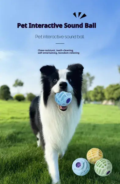Interactive Sound Ball Squeaky Toy for Pets