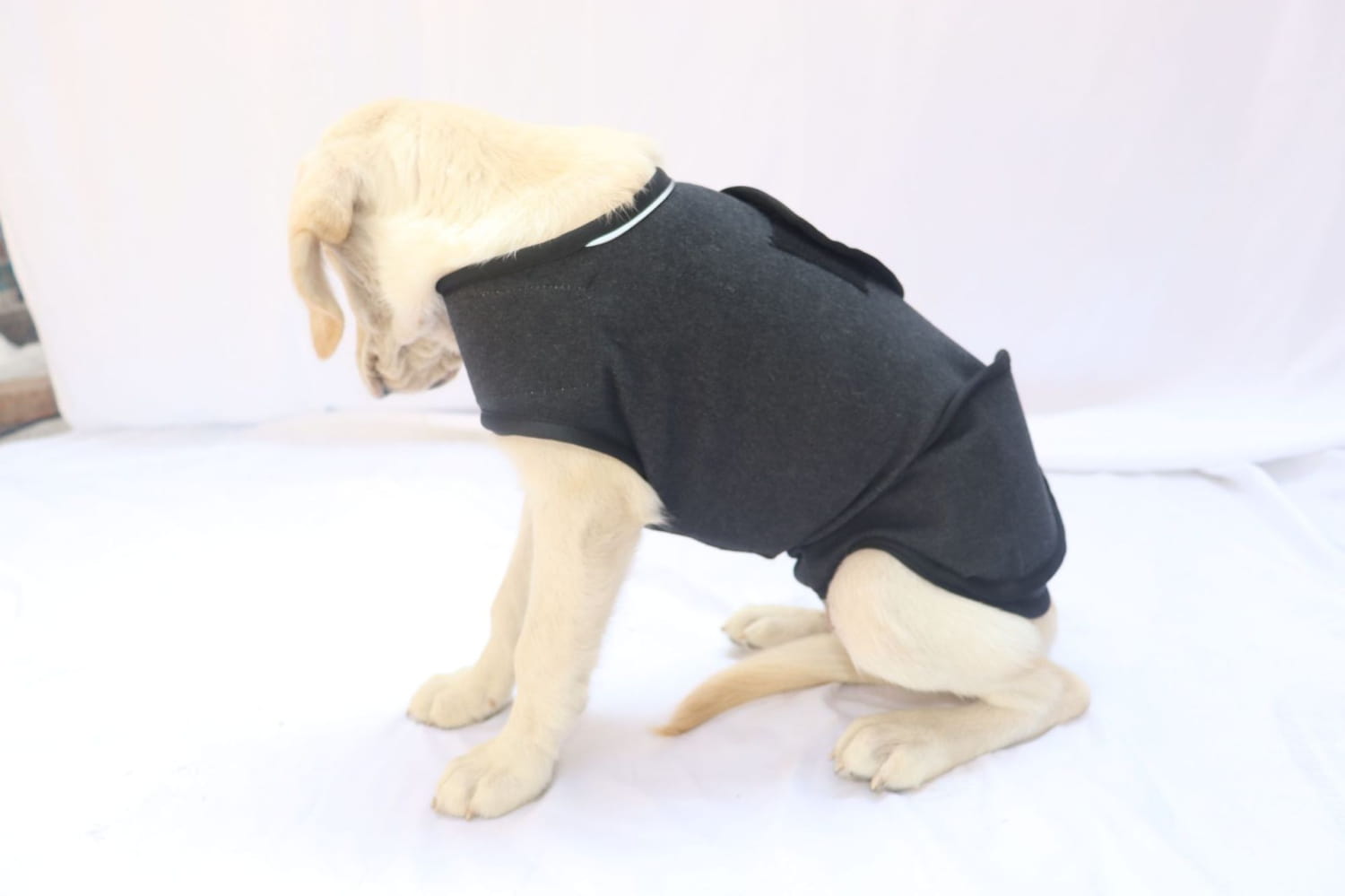 black fabric dog anxiety jacket with white trim shown from the back featuring breathable thunder vest design