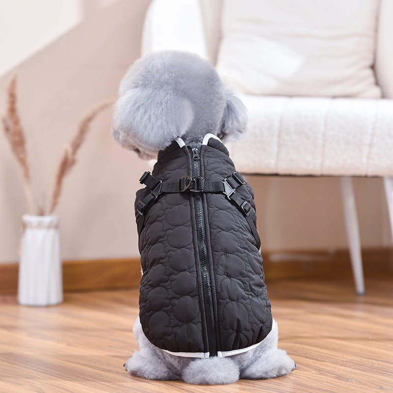 Black quilted dog vest with white trim and adjustable straps designed as a windproof warm pet coat shown from the back side.