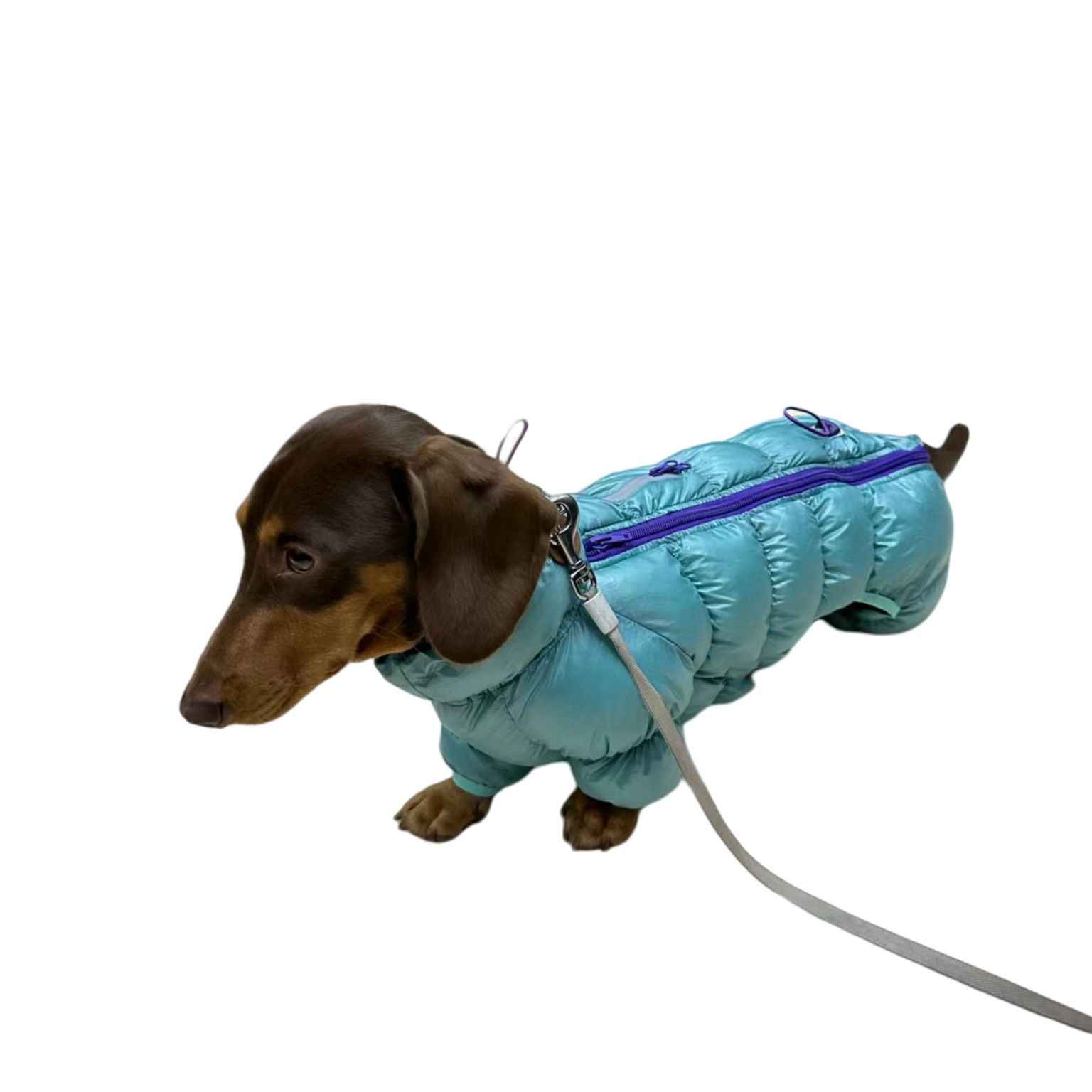 a light blue dog puffer coat with a purple zipper and silver hardware made of thermal cotton padding designed as a winter jacket for small dogs