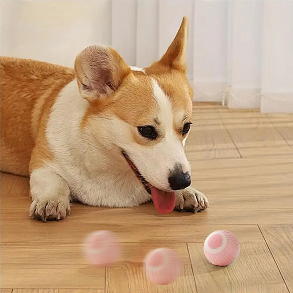 Interactive Rolling Cat Ball Electric Motion Toy Silicone
