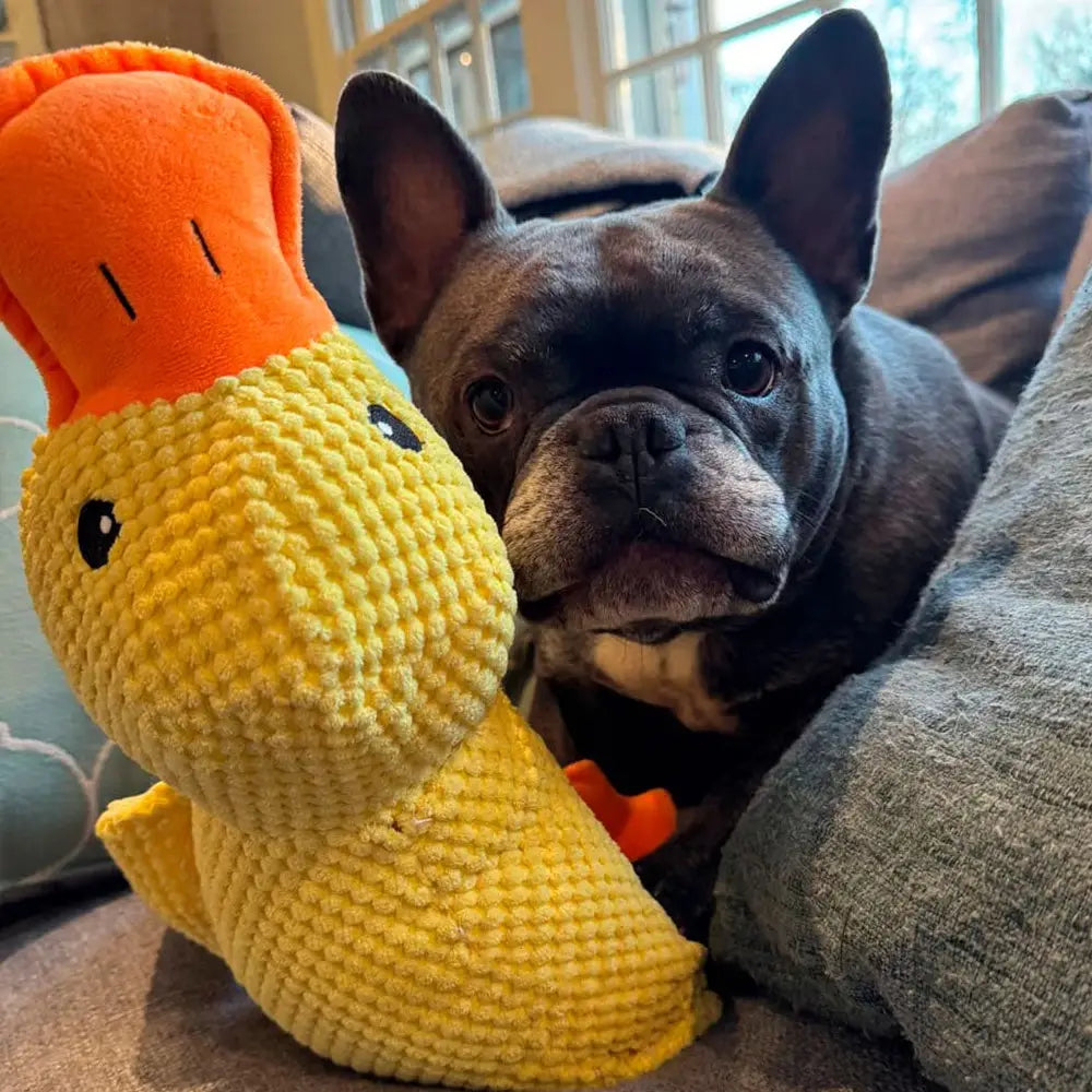 A bright yellow crocheted duck toy with an orange beak and black eyes designed as a calming duck toy for dogs anxiety relief quacking plush.