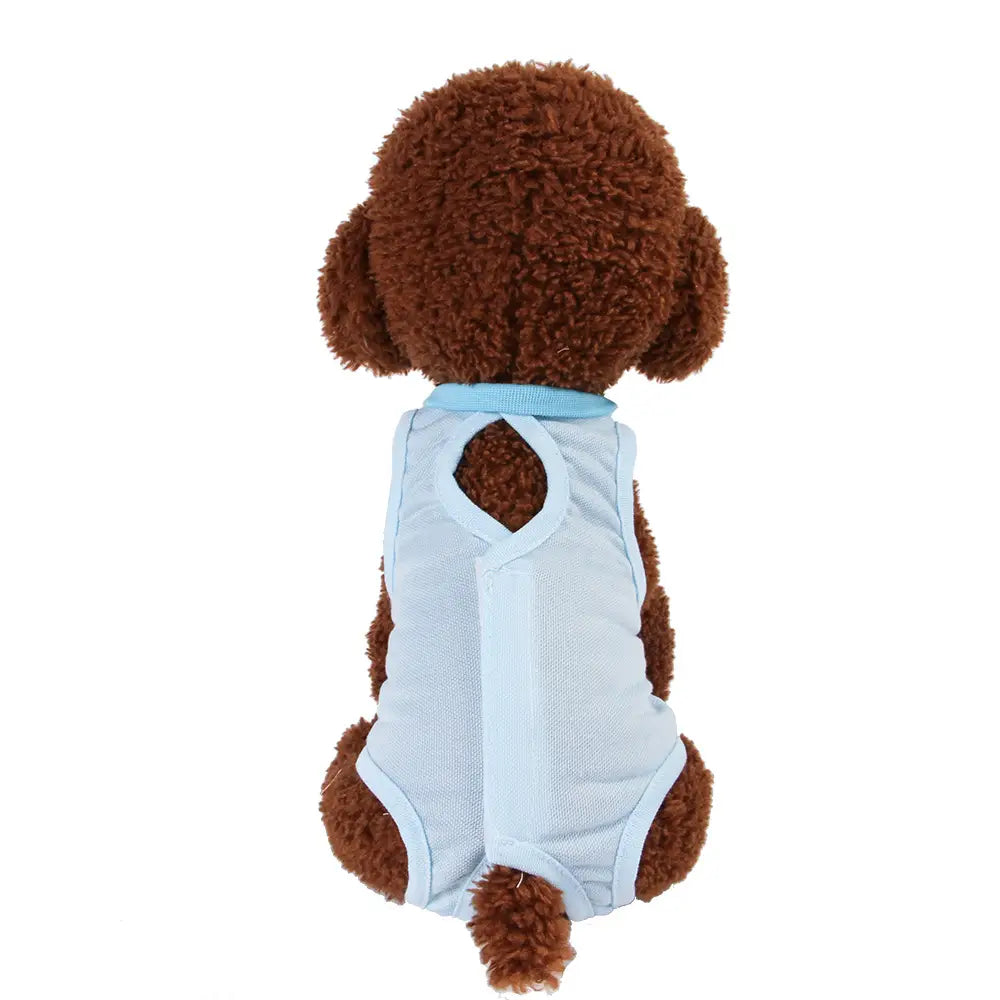 light blue mesh cat sterilization recovery suit with a soft collar and open back design breathable pet vest shown from the back side
