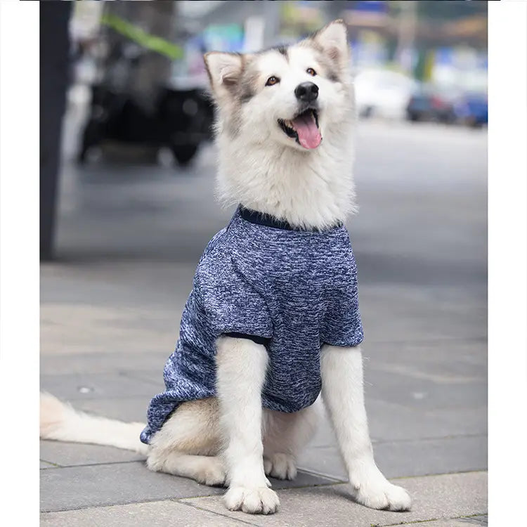 Pull chaud en acrylique Big Dog bleu chiné, conçu pour une tenue d’hiver confortable pour animaux de compagnie.
