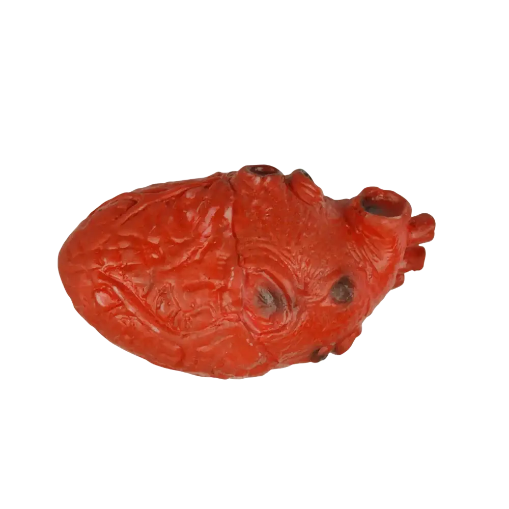 Red anatomically detailed heart-shaped ceramic smoking pipe fake bloody human heart halloween prop