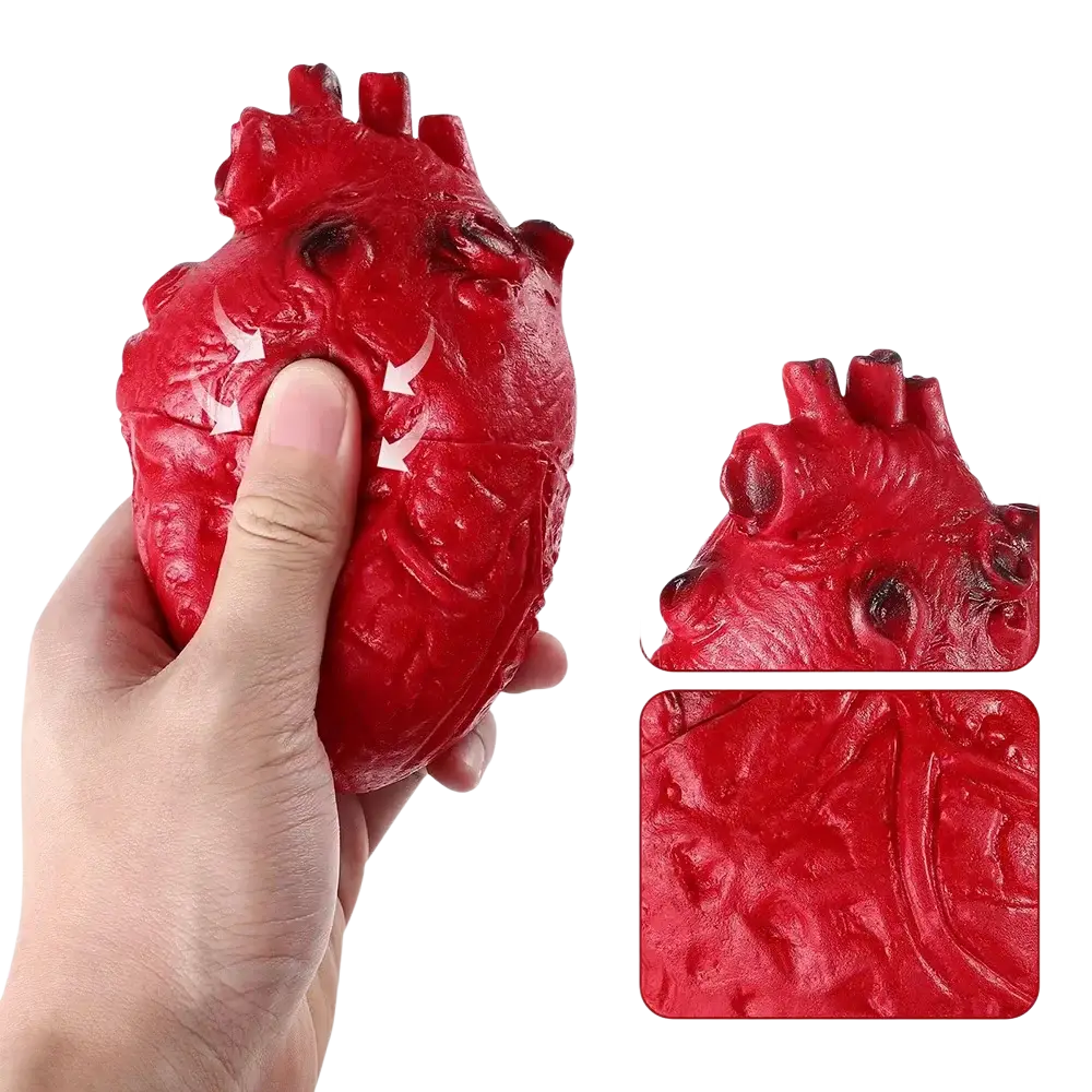 Red textured fake heart stress reliever with detailed anatomical features for halloween decoration and props