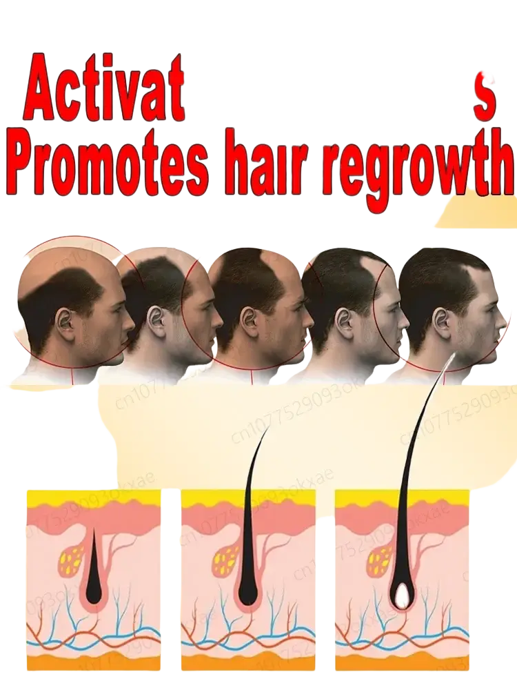 The promotional graphic for fast hair growth essential oil 30ml shows progressive hair follicle activation and regeneration